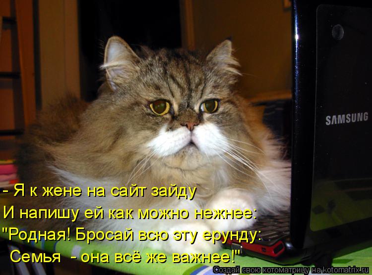 - Я к жене на сайт зайду И напишу ей как можно нежнее: "Родная! Бросай всю эту ерунду: Семья - она в... Котоматрица: - Я к жене на сайт зайду И напишу ей как можно нежнее: "Родная! Бросай всю эту ерунду: Семья - она всё же важнее!"