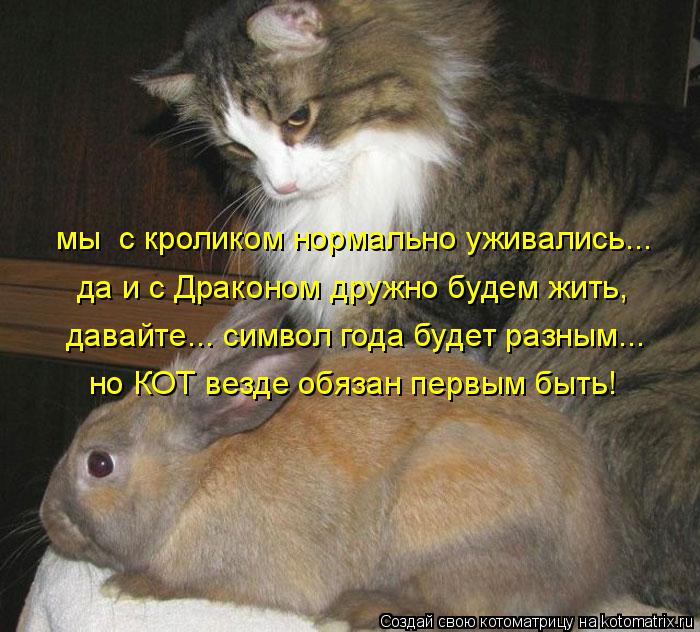 Котоматрица: но КОТ везде обязан первым быть! мы  с кроликом нормально уживались... давайте... символ года будет разным... да и с Драконом дружно будем жить,