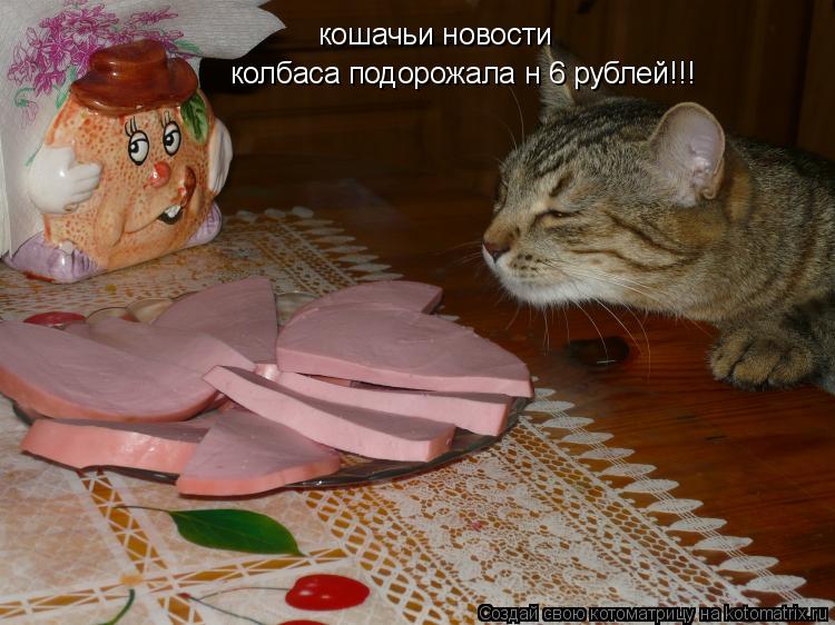 Котоматрица: кошачьи новости колбаса подорожала н 6 рублей!!!