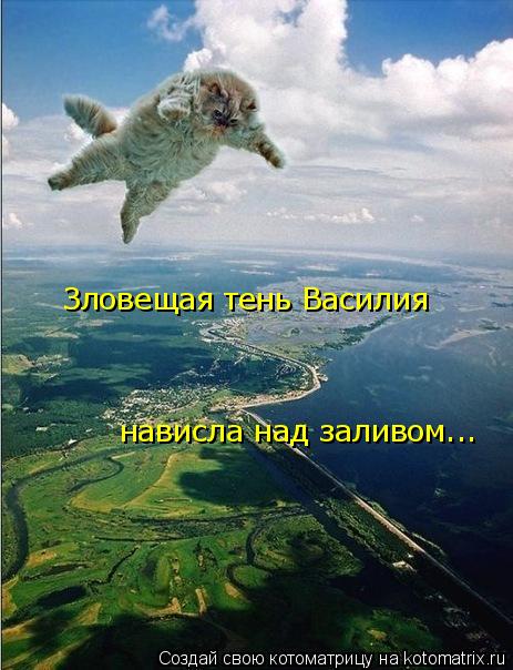 Котоматрица: Зловещая тень Василия  нависла над заливом...