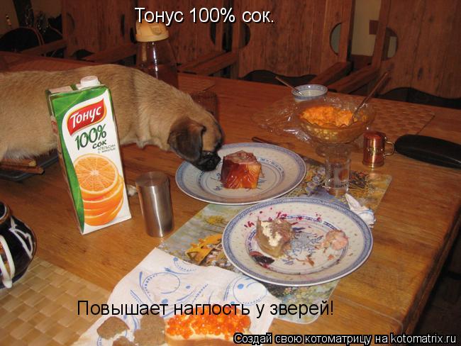 Котоматрица: Тонус 100% сок.  Повышает наглость у зверей!