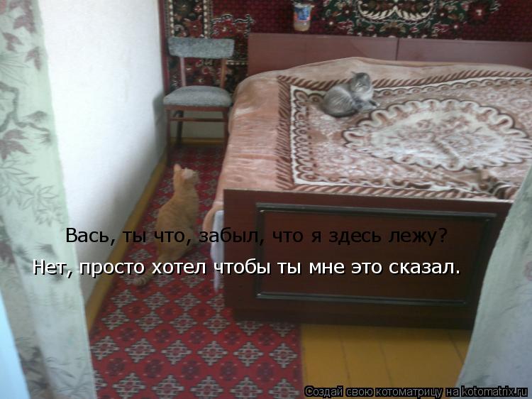 Котоматрица: Вась, ты что, забыл, что я здесь лежу? Нет, просто хотел чтобы ты мне это сказал.