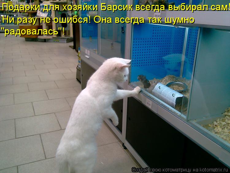 Подарки для хозяйки Барсик всегда выбирал сам! Ни разу не ошибся! Она всегда так шумно "радовалась"!... Котоматрица: Подарки для хозяйки Барсик всегда выбирал сам! Ни разу не ошибся! Она всегда так шумно "радовалась"!