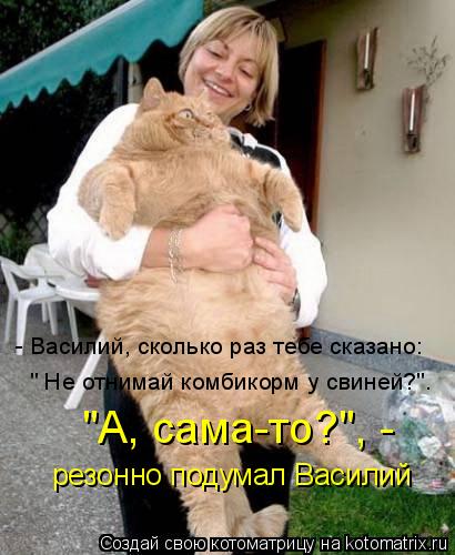 Котоматрица: - Василий, сколько раз тебе сказано: " Не отнимай комбикорм у свиней?". "А, сама-то?", - резонно подумал Василий