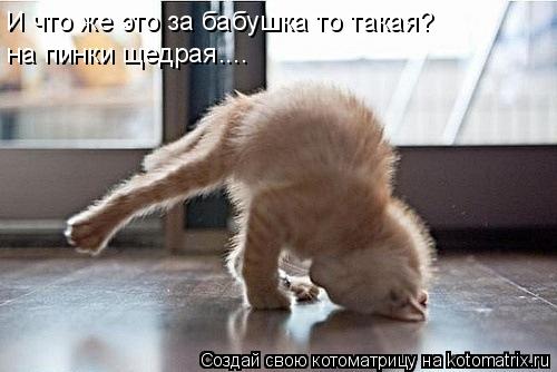 И что же это за бабушка то такая? на пинки щедрая....... Котоматрица: И что же это за бабушка то такая? на пинки щедрая....