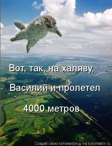 Котоматрица: Вот, так, на халяву, Василий и пролетел 4000 метров