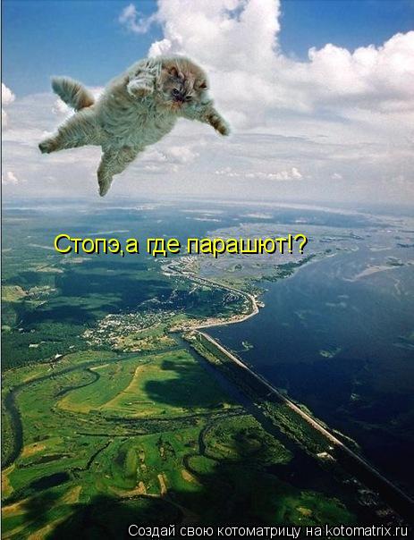 Котоматрица: Стопэ,а где парашют!?