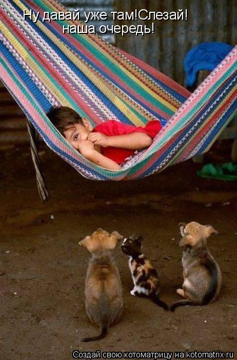Котоматрица: Ну давай уже там!Слезай! наша очередь!