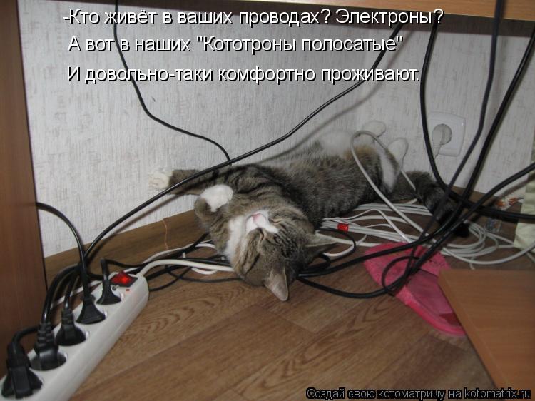 Котоматрица: -Кто живёт в ваших проводах? Электроны? А вот в наших "Кототроны полосатые" И довольно-таки комфортно проживают.