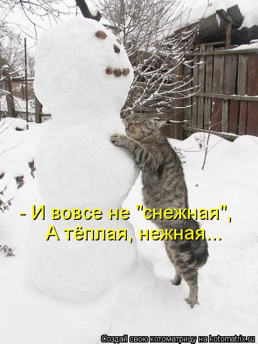 Котоматрица: - И вовсе не "снежная", А тёплая, нежная...