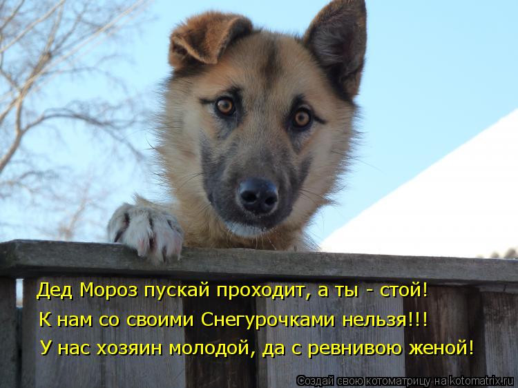 Дед Мороз пускай проходит, а ты - стой! К нам со своими Снегурочками нельзя!!! У нас хозяин молодой, ... Котоматрица: Дед Мороз пускай проходит, а ты - стой! К нам со своими Снегурочками нельзя!!! У нас хозяин молодой, да с ревнивою женой!