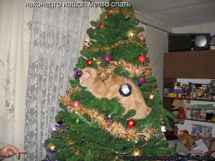 Котоматрица: наконецто нашол место спать