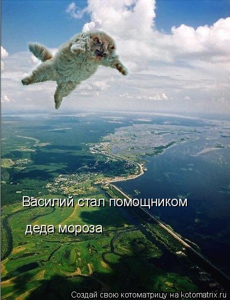 Котоматрица: Василий стал помощником  деда мороза