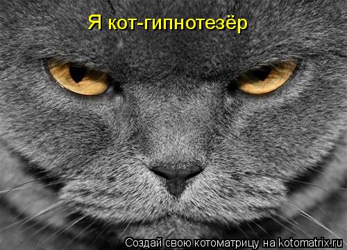 Котоматрица: Я кот-гипнотезёр