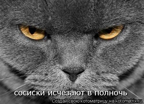 Котоматрица: сосиски исчезают в полночь