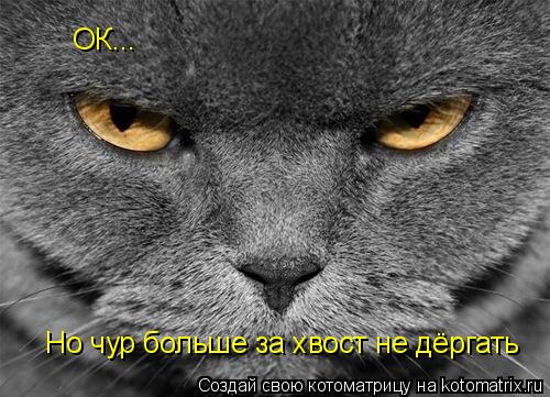 Котоматрица: ОК... Но чур больше за хвост не дёргать