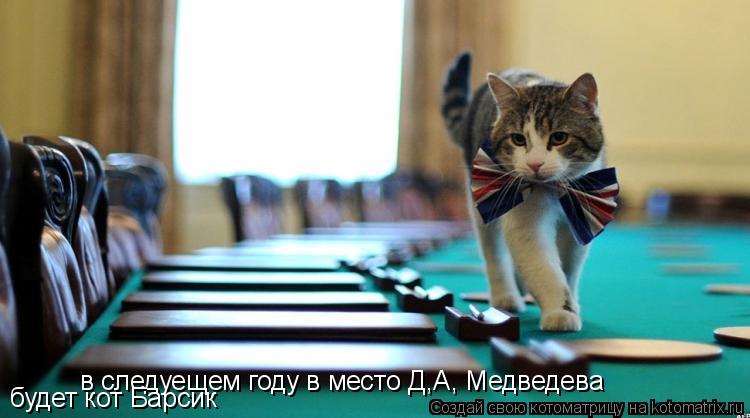 Котоматрица: в следуещем году в место Д,А, Медведева будет кот Барсик