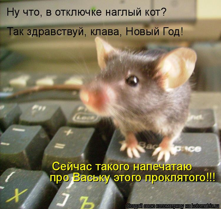 Котоматрица: Ну что, в отключке наглый кот? Так здравствуй, клава, Новый Год! Сейчас такого напечатаю  про Ваську этого проклятого!!!