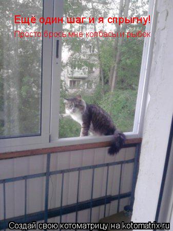 Котоматрица: Ещё один шаг и я спрыгну! Просто брось мне колбасы и рыбок