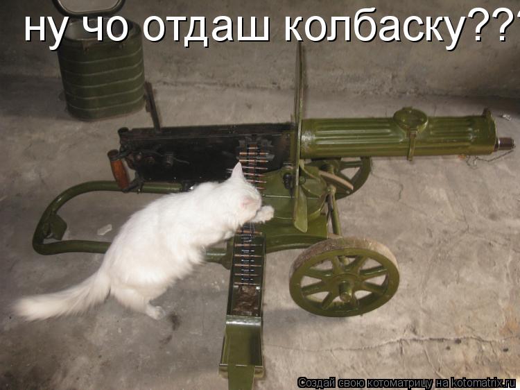 Котоматрица: ну чо отдаш колбаску???