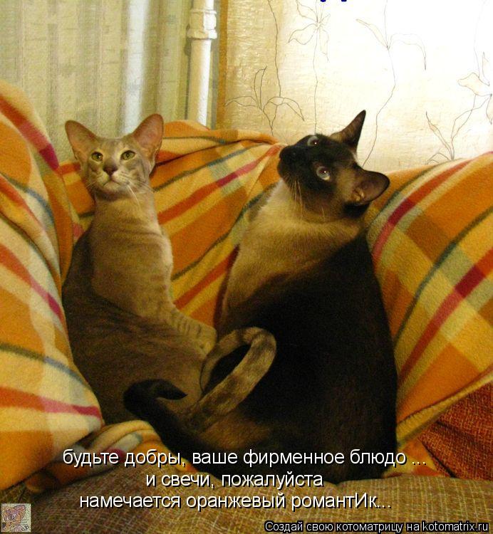 будьте добры, ваше фирменное блюдо ... и свечи, пожалуйста намечается оранжевый романтИк...... Котоматрица: будьте добры, ваше фирменное блюдо ... и свечи, пожалуйста намечается оранжевый романтИк...