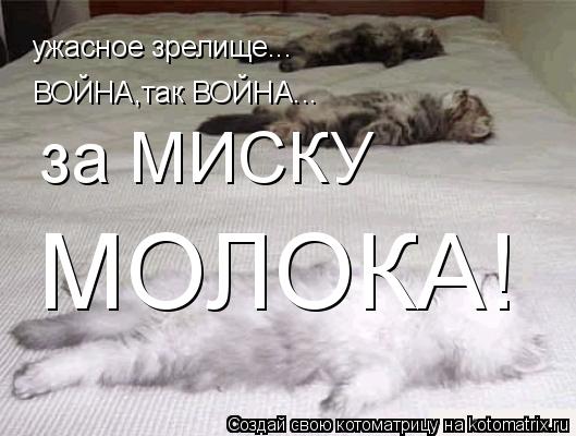 ужасное зрелище... ВОЙНА,так ВОЙНА... за МИСКУ МОЛОКА!... Котоматрица: ужасное зрелище... ВОЙНА,так ВОЙНА... за МИСКУ МОЛОКА!
