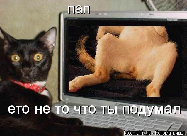 пап ето не то что ты подумал... Котоматрица: пап ето не то что ты подумал