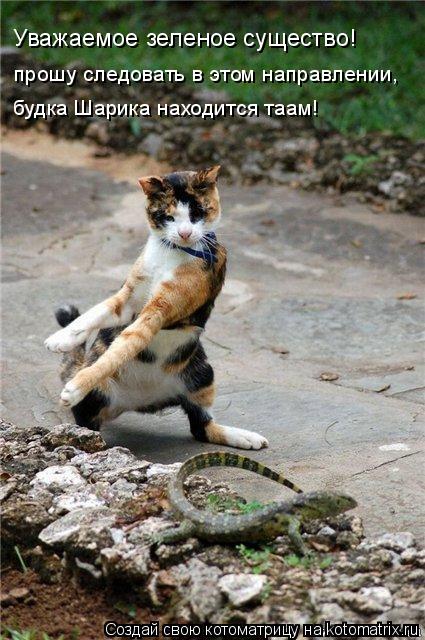 будка Шарика находится таам! Уважаемое зеленое существо! прошу следовать в этом направлении,... Котоматрица: будка Шарика находится таам! Уважаемое зеленое существо! прошу следовать в этом направлении,