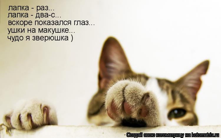 лапка - раз... лапка - два-с... вскоре показался глаз... ушки на макушке... чудо я зверюшка )... Котоматрица: лапка - раз... лапка - два-с... вскоре показался глаз... ушки на макушке... чудо я зверюшка )