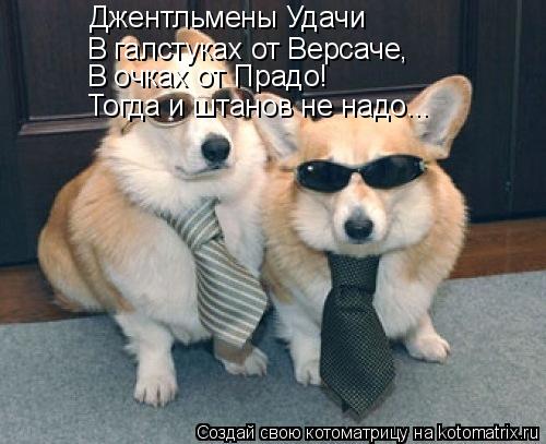 Джентльмены Удачи В галстуках от Версаче, В очках от Прадо! Тогда и штанов не надо...... Котоматрица: Джентльмены Удачи В галстуках от Версаче, В очках от Прадо! Тогда и штанов не надо...