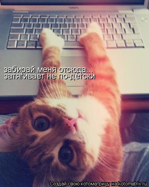 забирай меня отсюда... затягивает не по-детски... Котоматрица: забирай меня отсюда... затягивает не по-детски