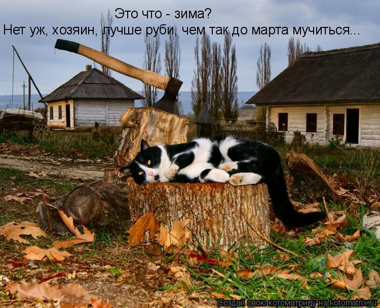 Это что - зима? Нет уж, хозяин, лучше руби, чем так до марта мучиться...... Котоматрица: Это что - зима? Нет уж, хозяин, лучше руби, чем так до марта мучиться...