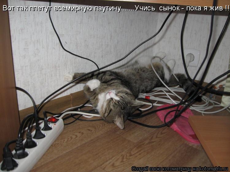 Вот так плетут всемирную паутину.......Учись сынок - пока я жив !!!!!... Котоматрица: Вот так плетут всемирную паутину.......Учись сынок - пока я жив !!!!!