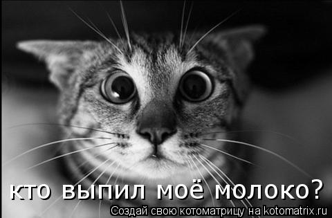 кто выпил моё молоко?... Котоматрица: кто выпил моё молоко?