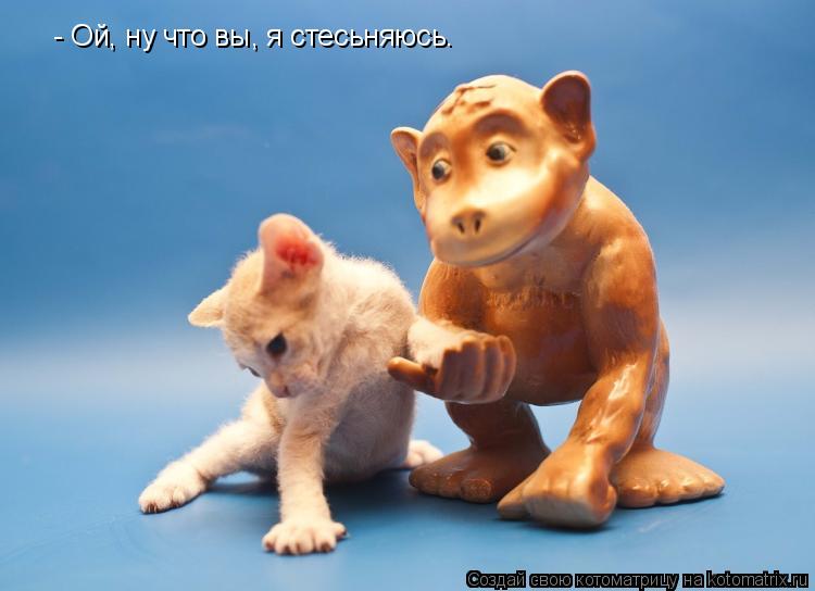 - Ой, ну что вы, я стесьняюсь.... Котоматрица: - Ой, ну что вы, я стесьняюсь.