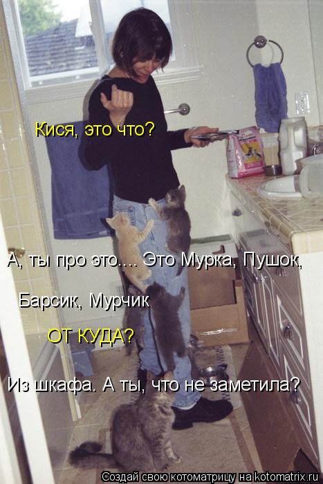 А, ты про это.... Это Мурка, Пушок, Барсик, Мурчик Кися, это что? ОТ КУДА? Из шкафа. А ты, что не зам... Котоматрица: А, ты про это.... Это Мурка, Пушок, Барсик, Мурчик Кися, это что? ОТ КУДА? Из шкафа. А ты, что не заметила?