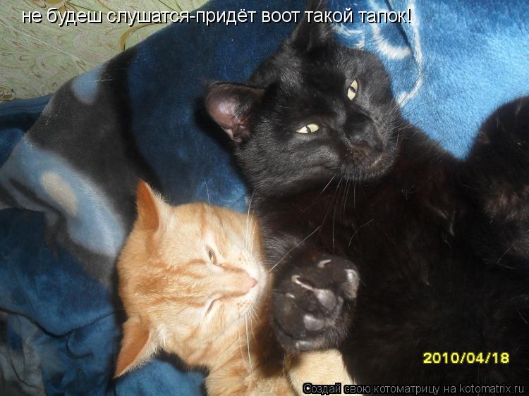не будеш слушатся-придёт воот такой тапок!... Котоматрица: не будеш слушатся-придёт воот такой тапок!