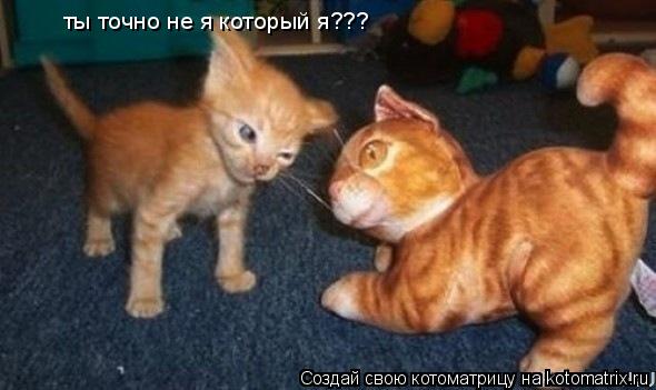 ты точно не я который я???... Котоматрица: ты точно не я который я???