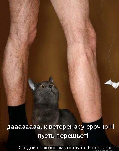 даааааааа, к ветеренару срочно!!! пусть перешьет!... Котоматрица: даааааааа, к ветеренару срочно!!! пусть перешьет!