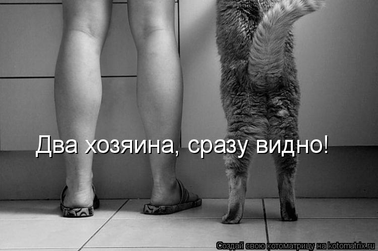 Два хозяина, сразу видно!... Котоматрица: Два хозяина, сразу видно!