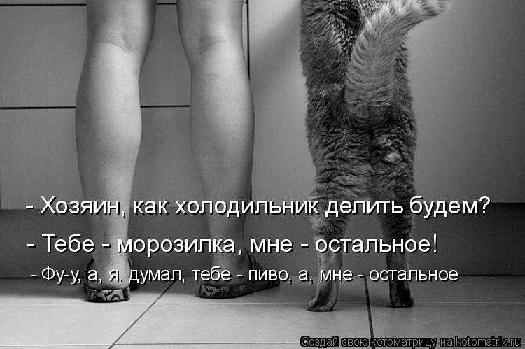 - Хозяин, как холодильник делить будем? - Тебе - морозилка, мне - остальное! - Фу-у, а, я. думал, теб... Котоматрица: - Хозяин, как холодильник делить будем? - Тебе - морозилка, мне - остальное! - Фу-у, а, я. думал, тебе - пиво, а, мне - остальное