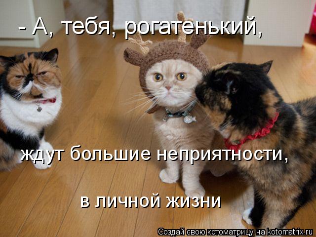- А, тебя, рогатенький, ждут большие неприятности, в личной жизни... Котоматрица: - А, тебя, рогатенький, ждут большие неприятности, в личной жизни
