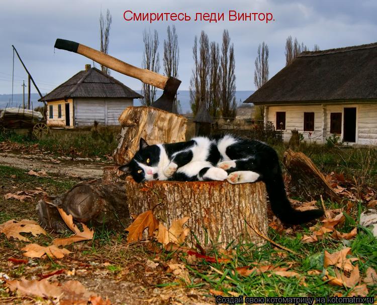 Смиритесь леди Винтор.... Котоматрица: Смиритесь леди Винтор.