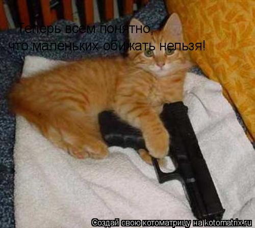 Теперь всем понятно, что маленьких обижать нельзя!... Котоматрица: Теперь всем понятно, что маленьких обижать нельзя!