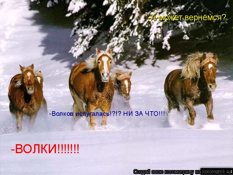-А может вернёмся? -Волков испугалась!?!? НИ ЗА ЧТО!!! -ВОЛКИ!!!!!!!... Котоматрица: -А может вернёмся? -Волков испугалась!?!? НИ ЗА ЧТО!!! -ВОЛКИ!!!!!!!
