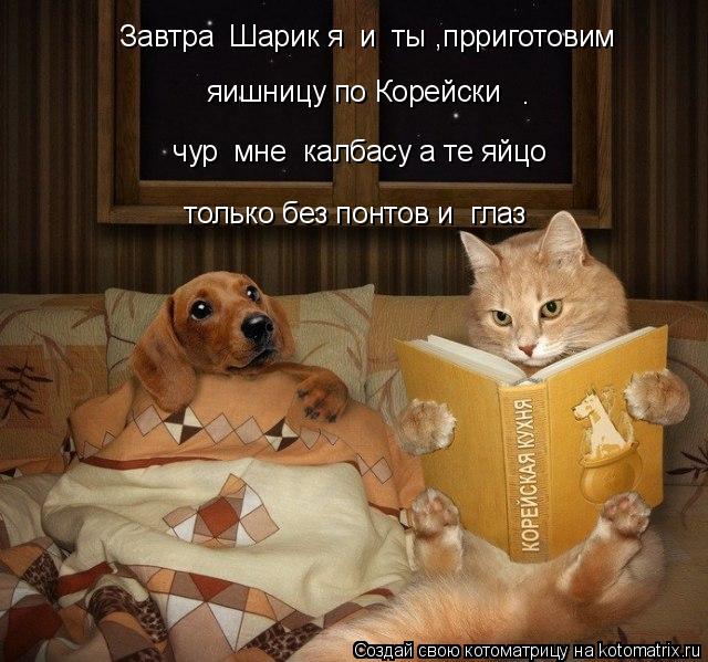 Завтра Шарик я и ты ,прриготовим яишницу по Корейски . чур мне калбасу а те яйцо только без ... Котоматрица: Завтра Шарик я и ты ,прриготовим яишницу по Корейски . чур мне калбасу а те яйцо только без понтов и глаз