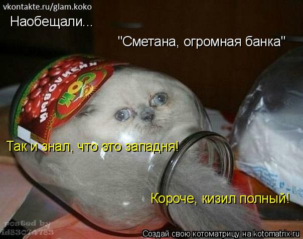 Наобещали... "Сметана, огромная банка" Так и знал, что это западня! Короче, кизил полный!... Котоматрица: Наобещали... "Сметана, огромная банка" Так и знал, что это западня! Короче, кизил полный!