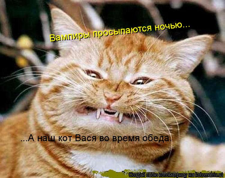 Вампиры просыпаются ночью... ...А наш кот Вася во время обеда.... Котоматрица: Вампиры просыпаются ночью... ...А наш кот Вася во время обеда.