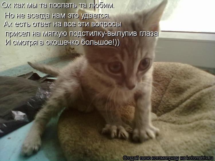 Ох как мы та поспать та любим. Но не всегда нам это удается. Ах есть ответ на все эти вопросы при... Котоматрица: Ох как мы та поспать та любим. Но не всегда нам это удается. Ах есть ответ на все эти вопросы присел на мягкую подстилку-вылупив глаза И смо