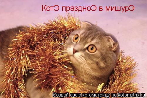 КотЭ праздноЭ в мишурЭ... Котоматрица: КотЭ праздноЭ в мишурЭ
